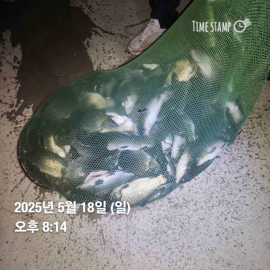 1747614503182.jpg