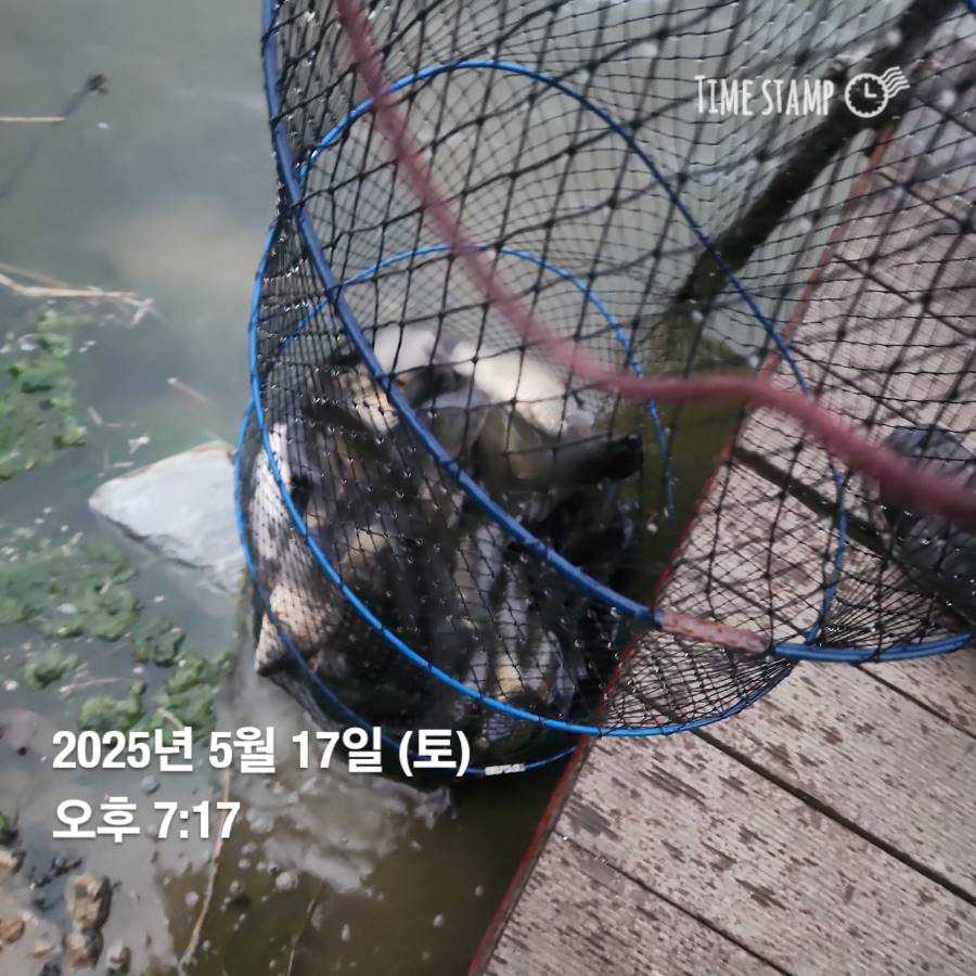 1747614505387.jpg