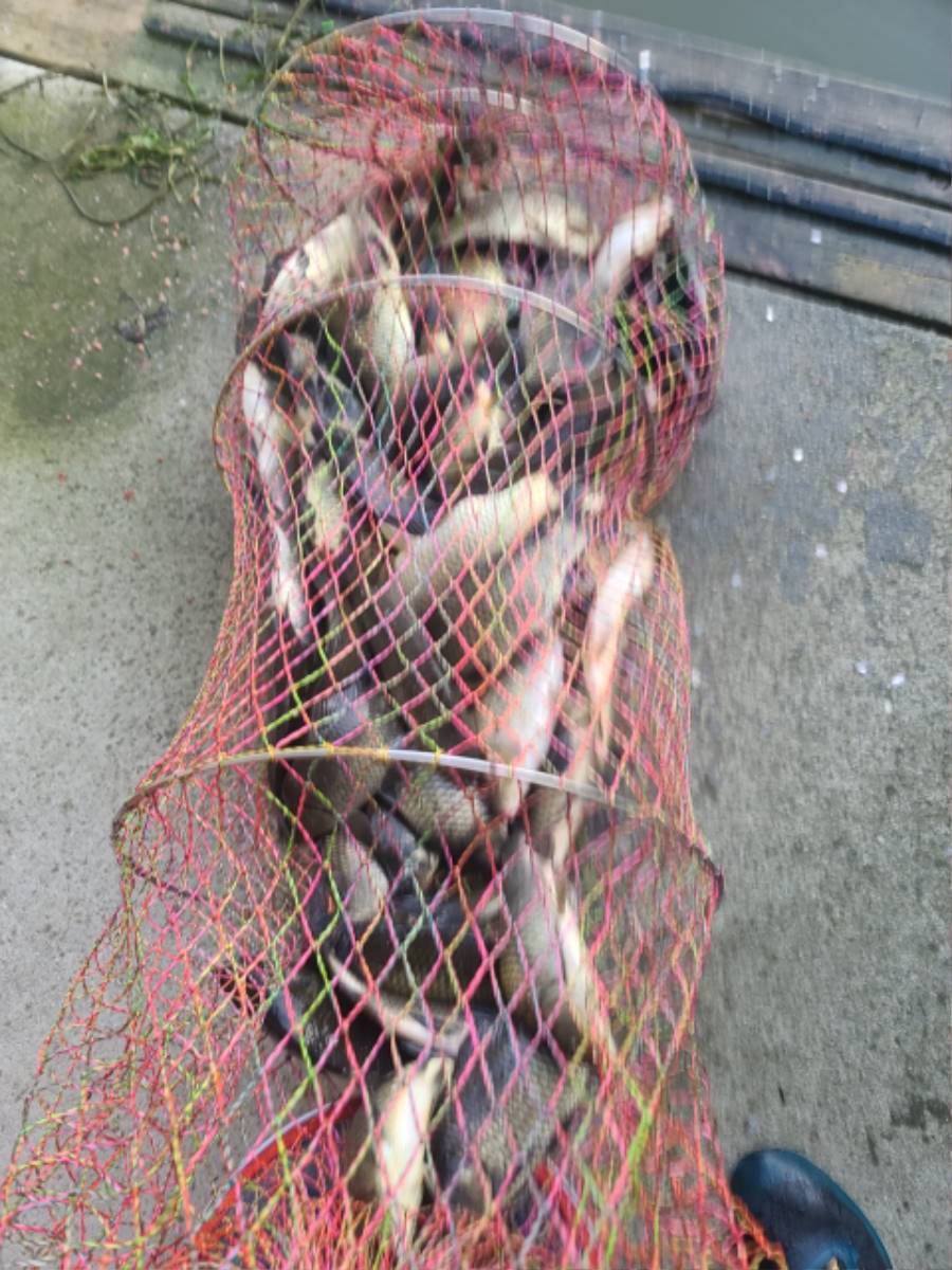 Resized_20250518_060159.jpeg