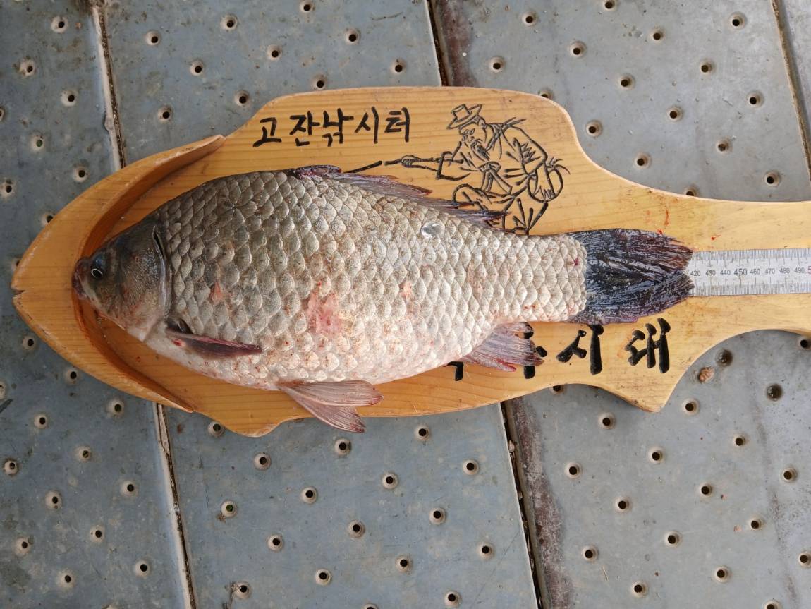 KakaoTalk_20250518_100203101_03.jpg