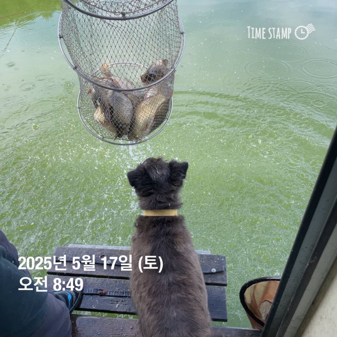 KakaoTalk_20250519_113043560_02.jpg