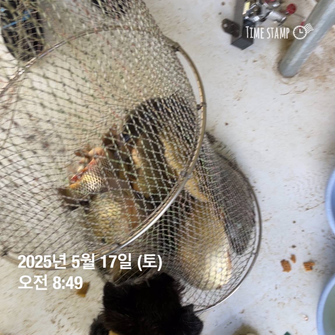 KakaoTalk_20250519_113043560_03.jpg