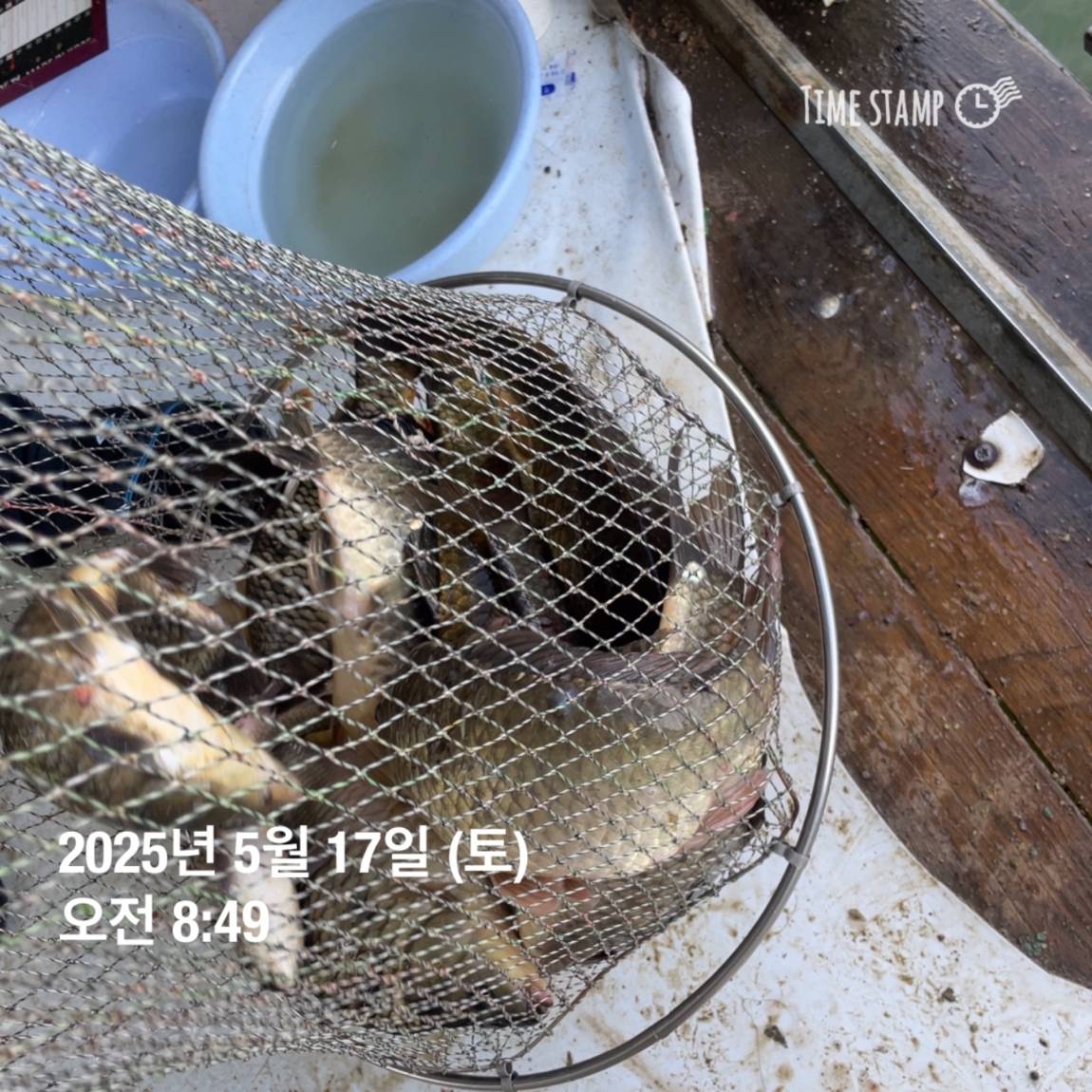 KakaoTalk_20250519_113043560_04.jpg