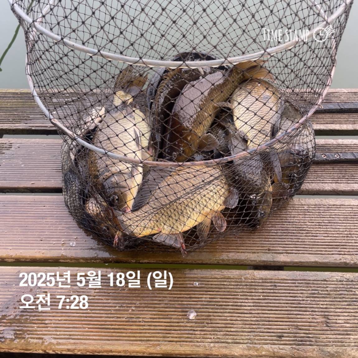 KakaoTalk_20250519_113043560_07.jpg