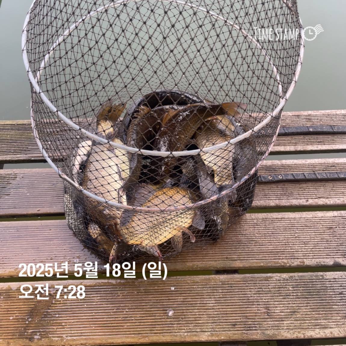 KakaoTalk_20250519_113043560_06.jpg