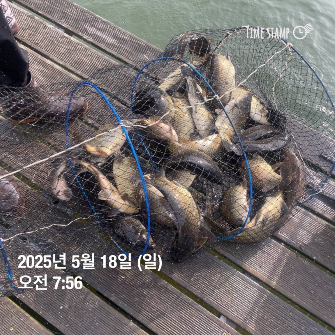 KakaoTalk_20250519_113043560_10.jpg