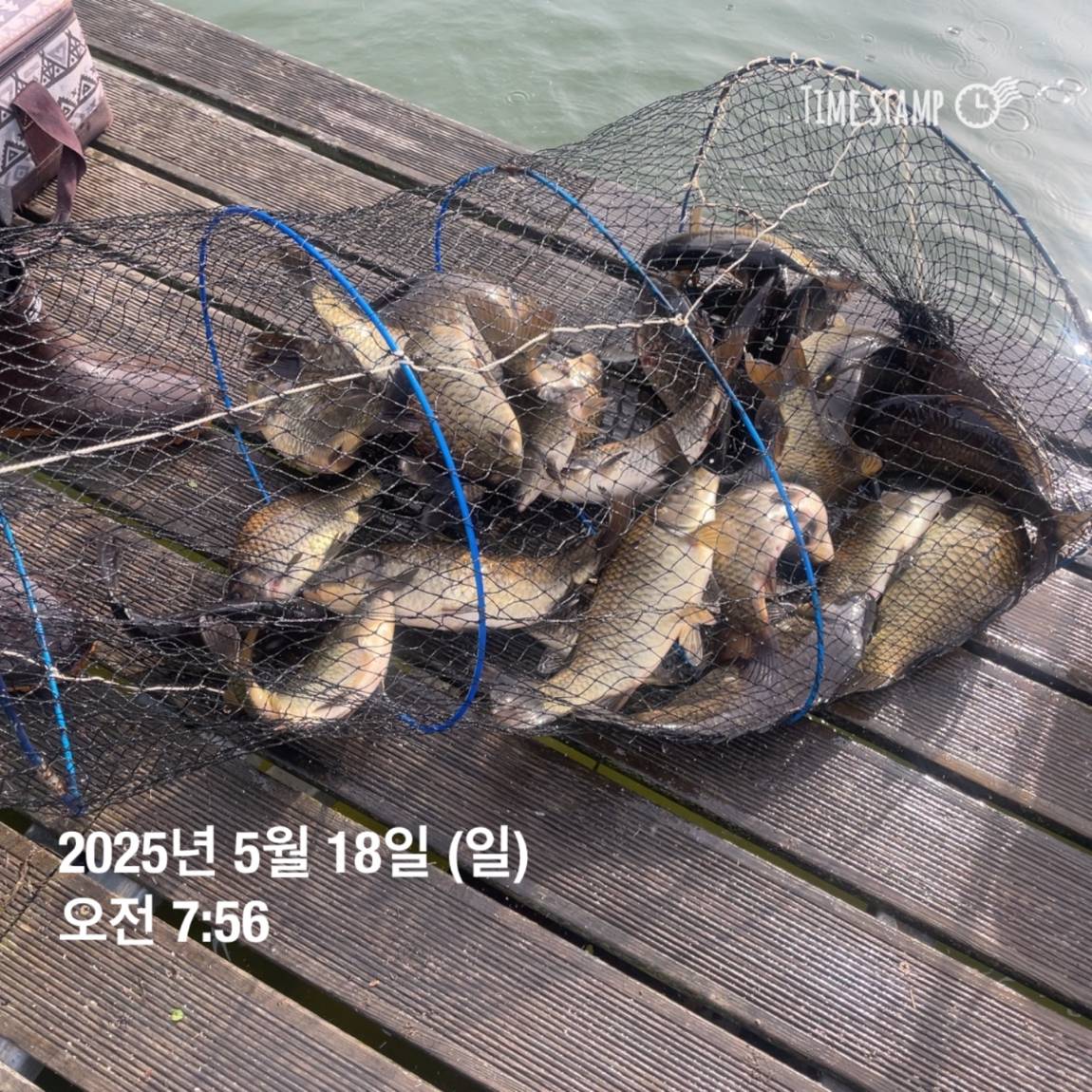 KakaoTalk_20250519_113043560_11.jpg