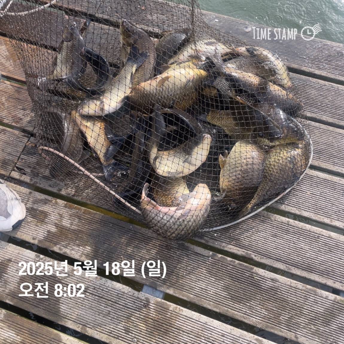 KakaoTalk_20250519_113043560_14.jpg