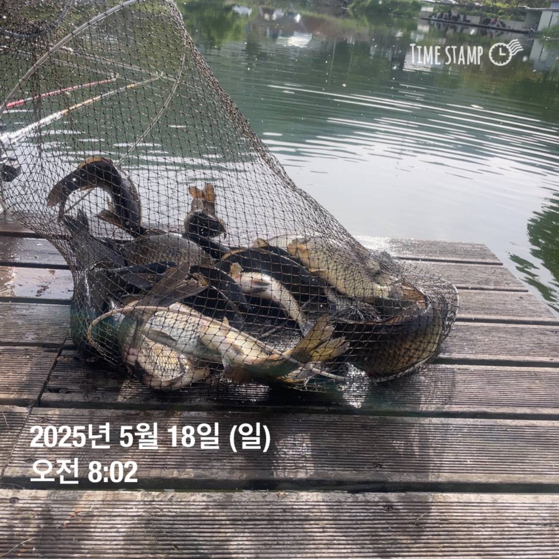 KakaoTalk_20250519_113043560_16.jpg