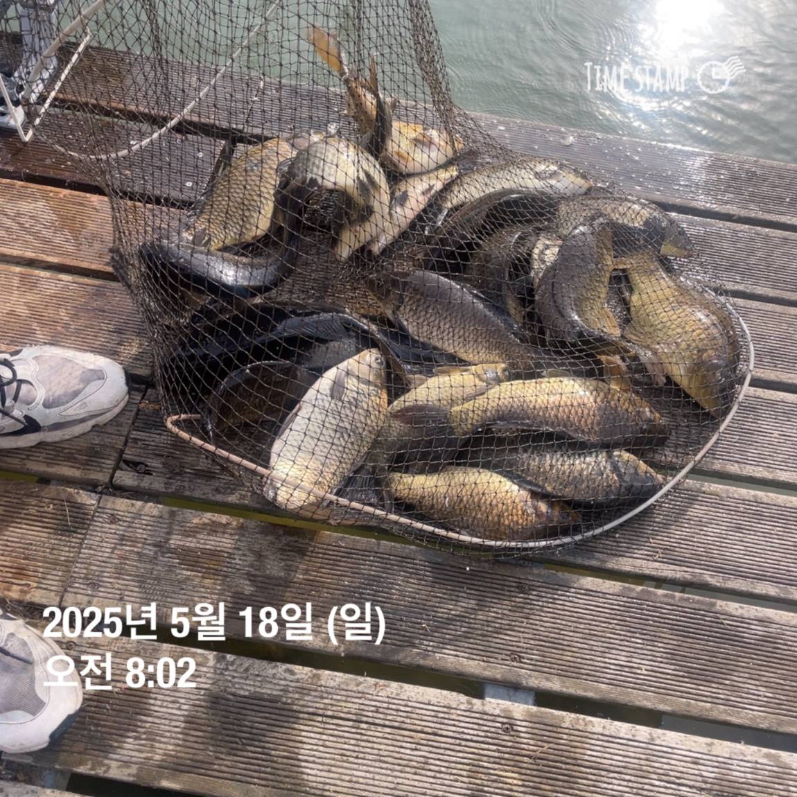 KakaoTalk_20250519_113043560_15.jpg