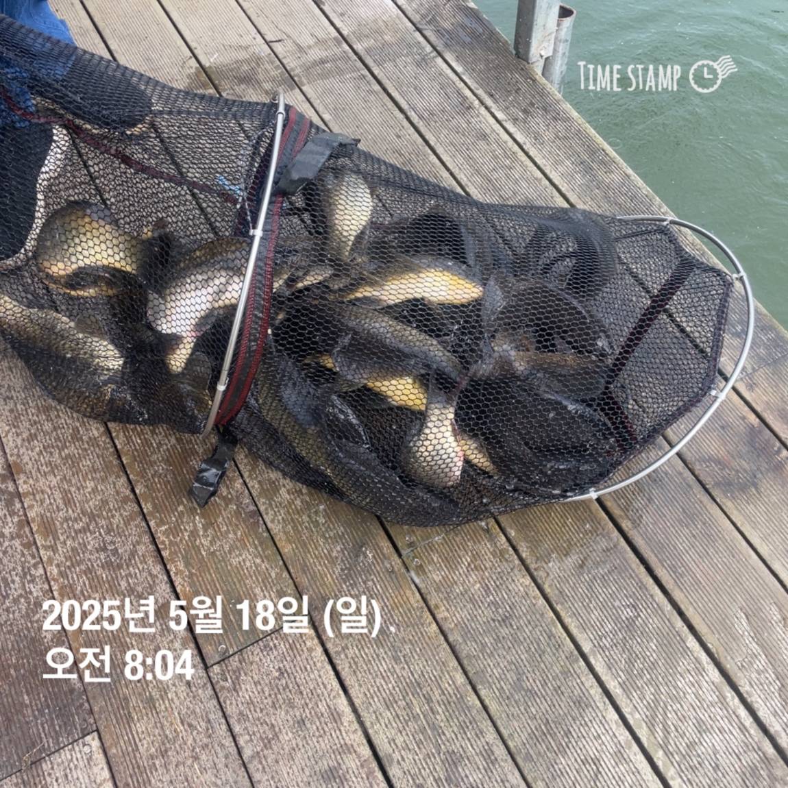 KakaoTalk_20250519_113043560_18.jpg
