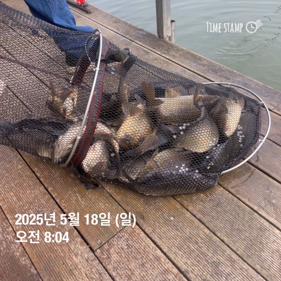 KakaoTalk_20250519_113043560_20.jpg