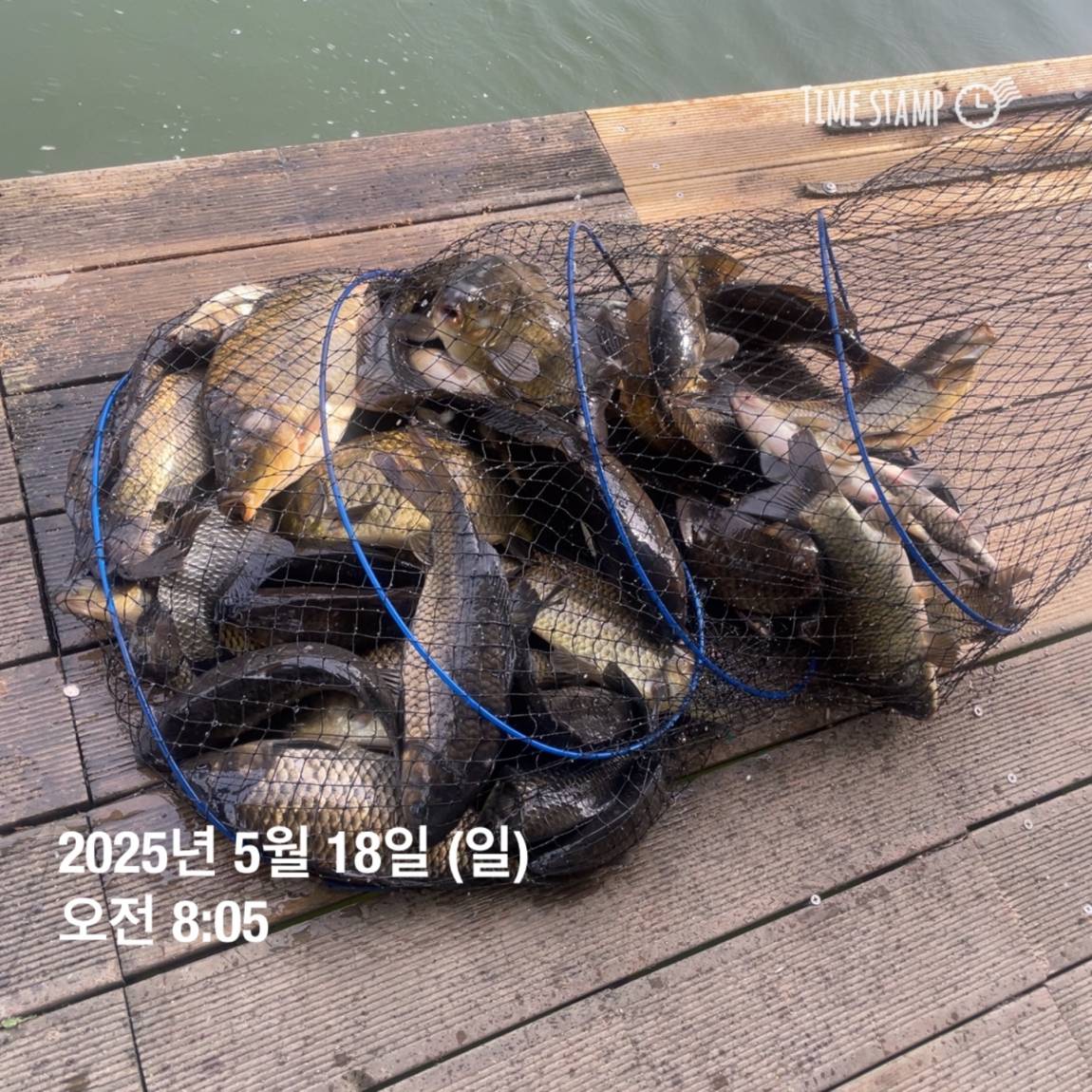 KakaoTalk_20250519_113043560_23.jpg