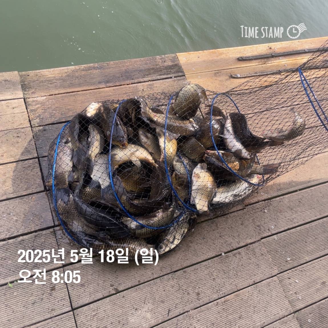 KakaoTalk_20250519_113043560_22.jpg
