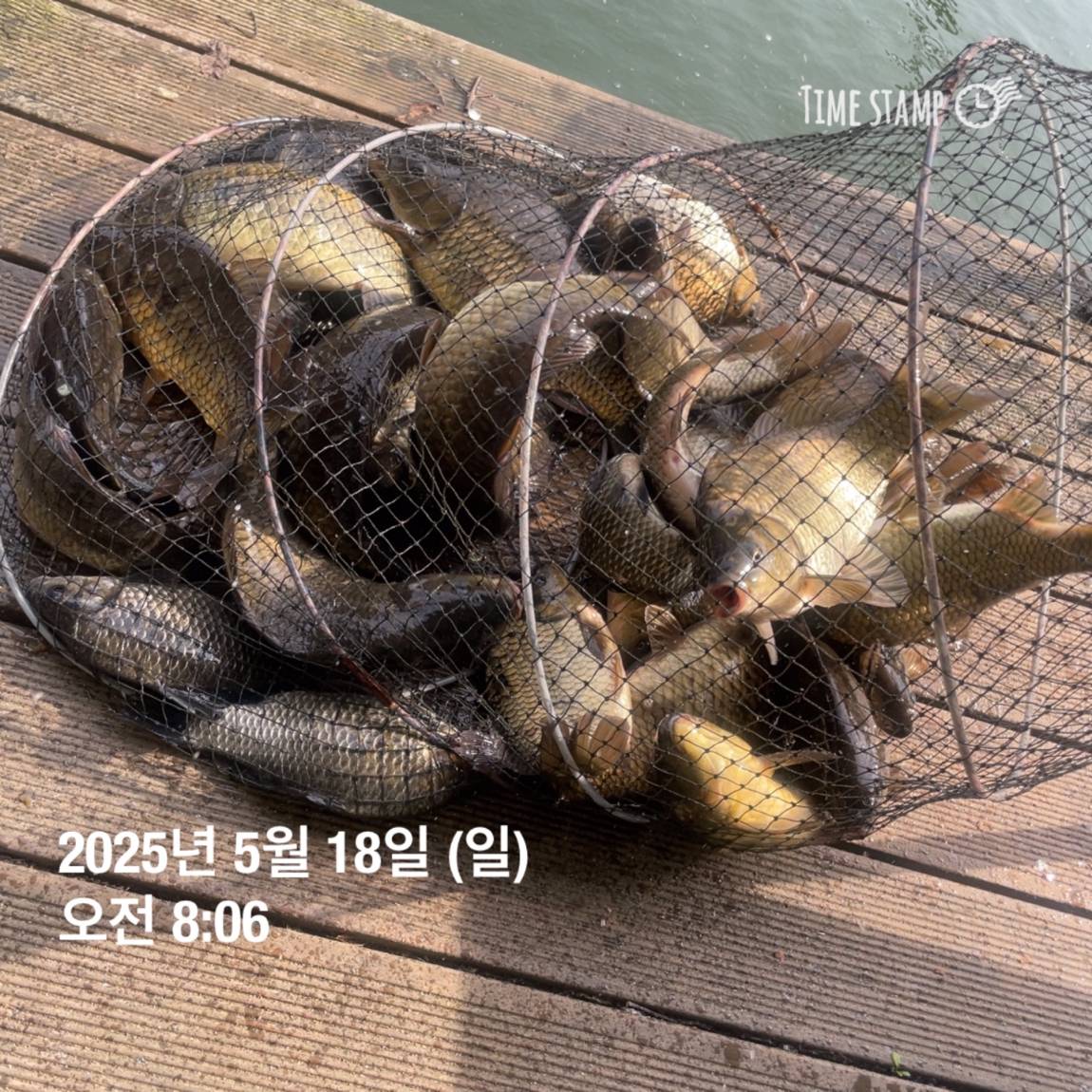 KakaoTalk_20250519_113048511_01.jpg