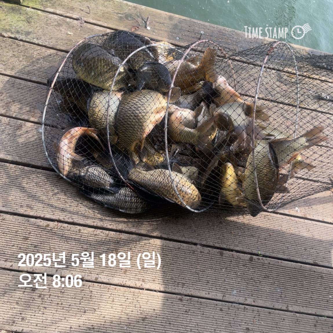 KakaoTalk_20250519_113048511.jpg
