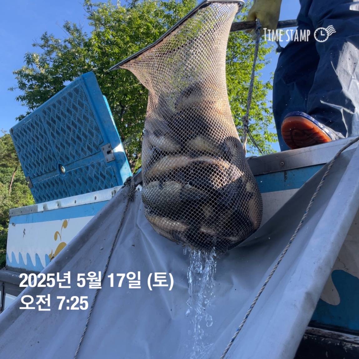 KakaoTalk_20250519_113048511_12.jpg