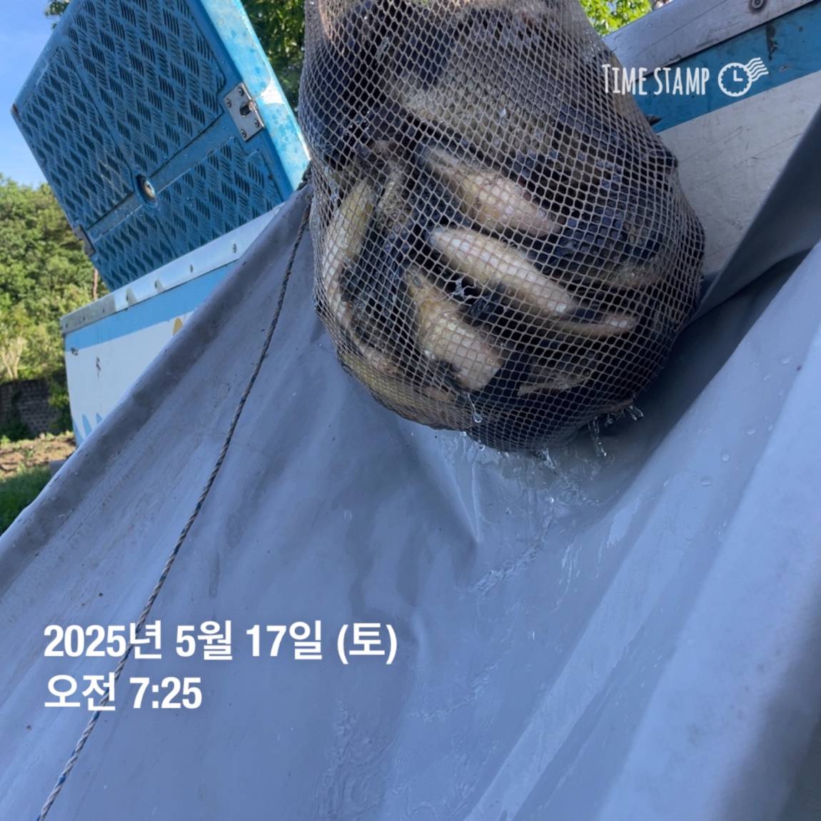 KakaoTalk_20250519_113048511_19.jpg