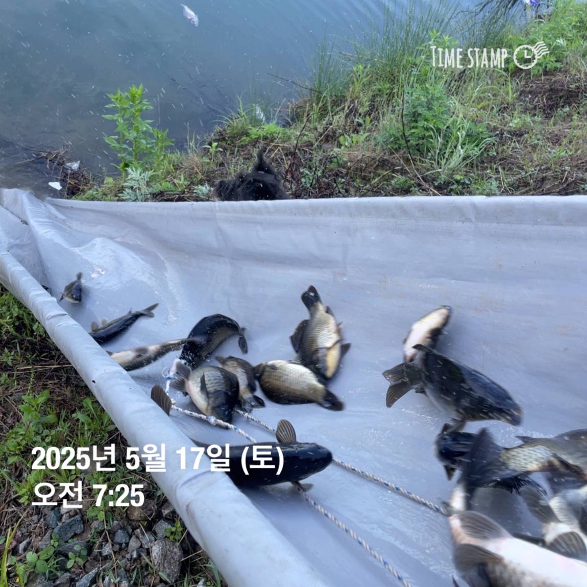 KakaoTalk_20250519_113048511_20.jpg