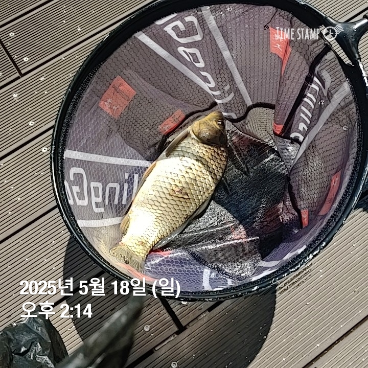 2025-05-18T14_14_55.490.jpg