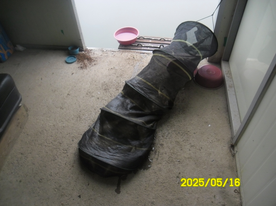 SAM_2481.JPG