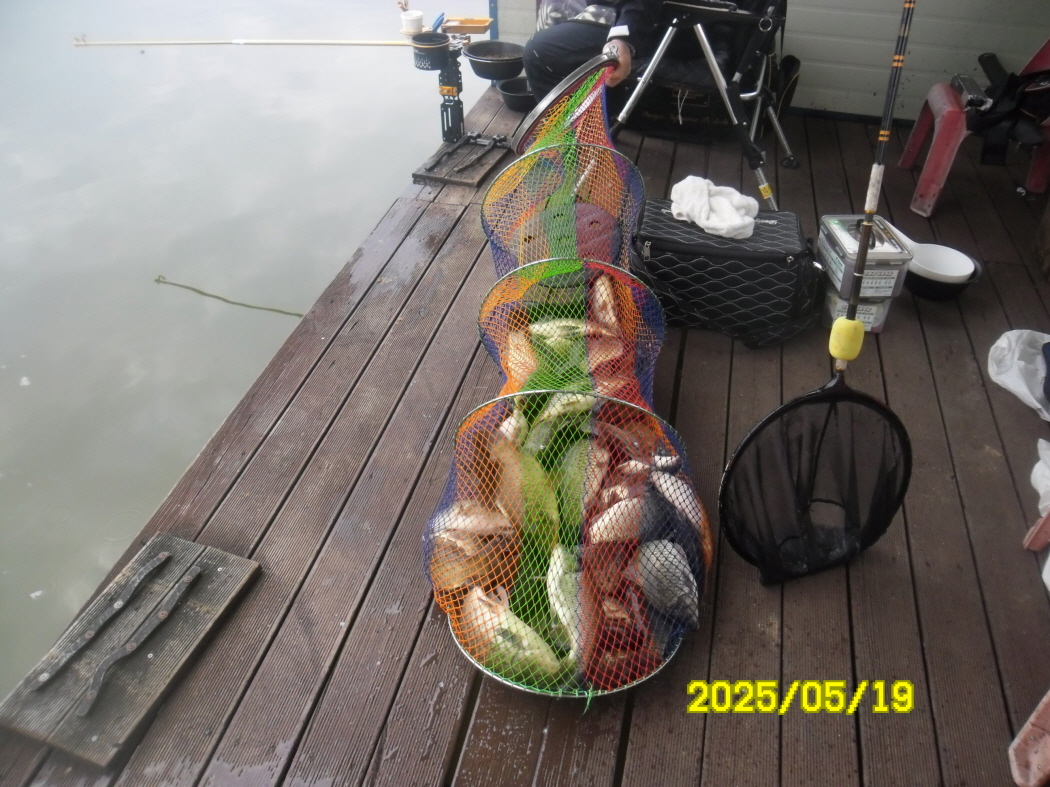 SAM_2575.JPG