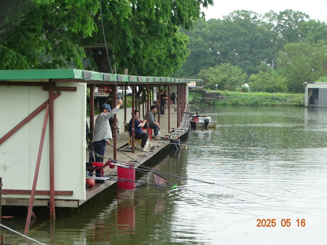 DSC02065.JPG