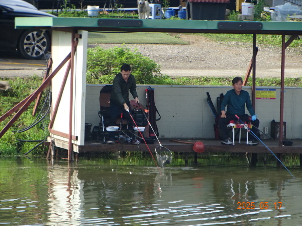 DSC02081.JPG