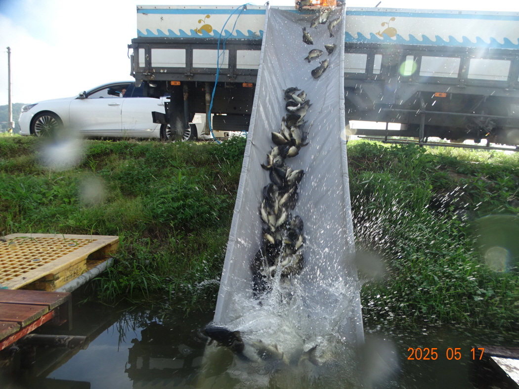 DSC02099.JPG