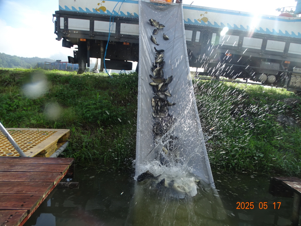 DSC02097.JPG