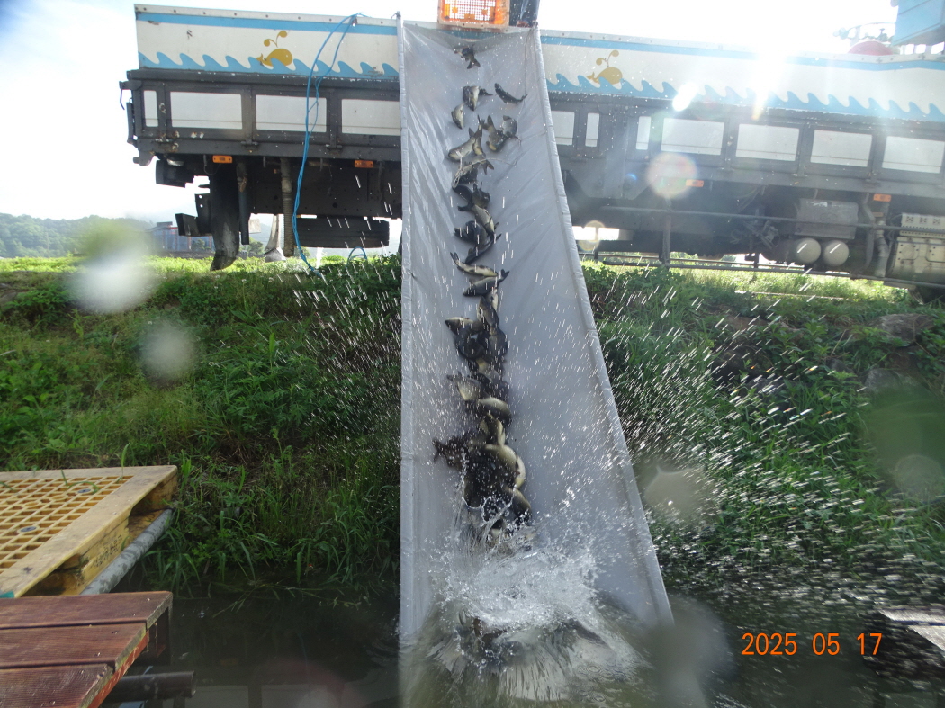 DSC02103.JPG