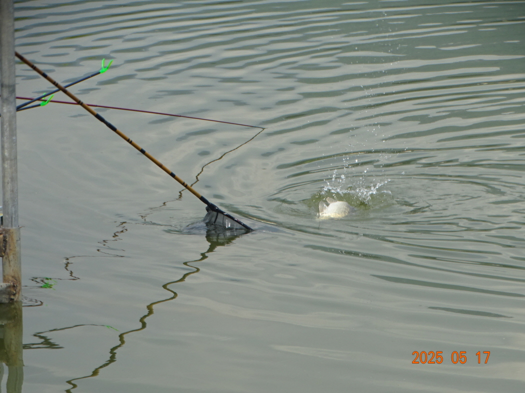 DSC02166.JPG