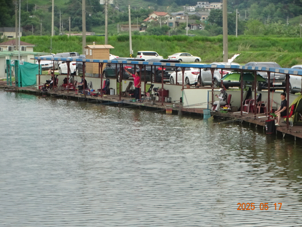 DSC02208.JPG