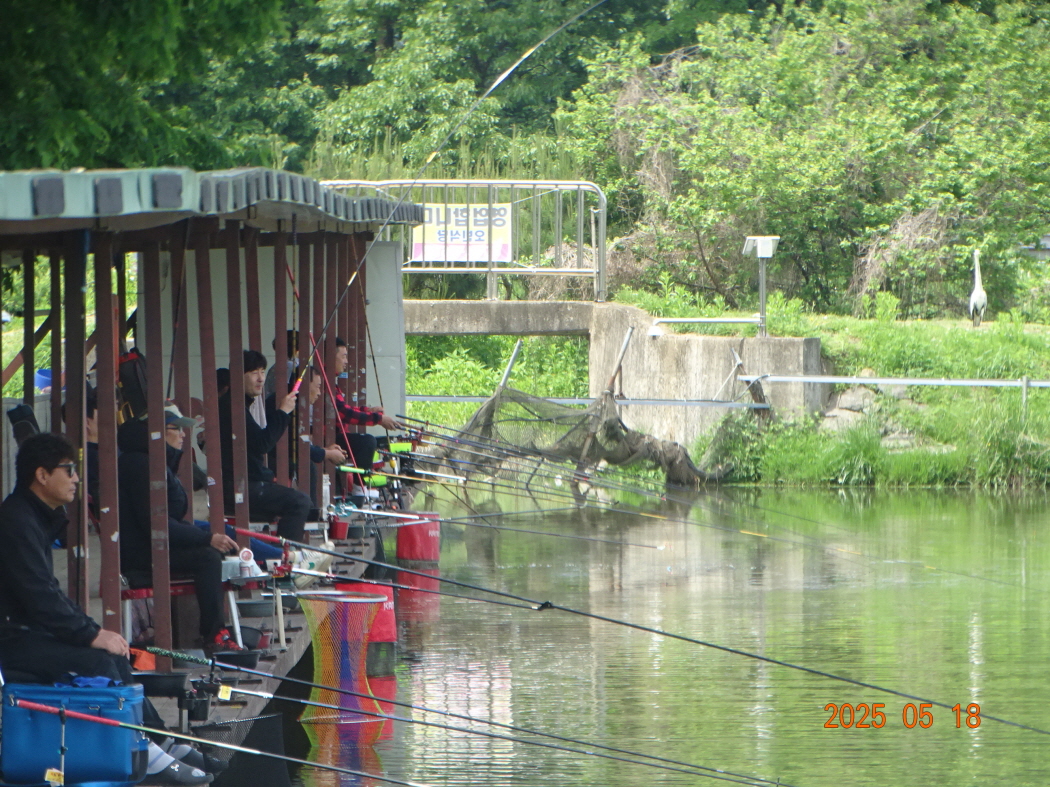 DSC02210.JPG
