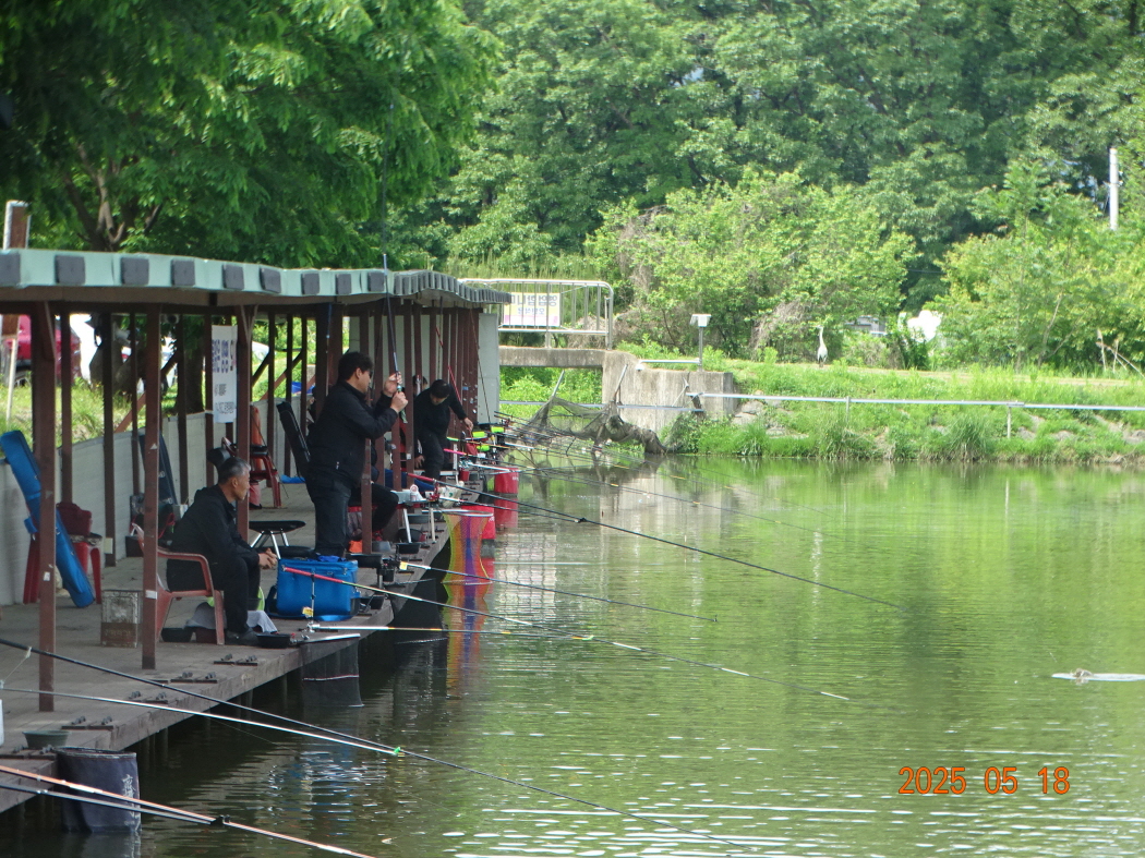 DSC02214.JPG