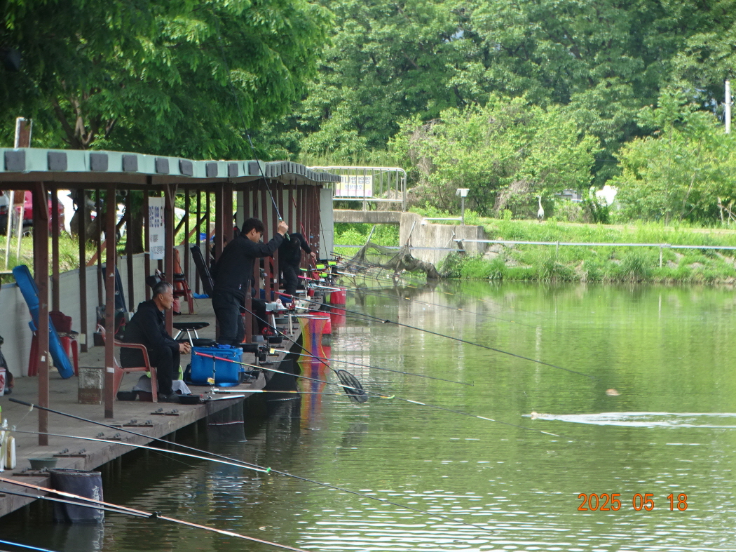 DSC02215.JPG