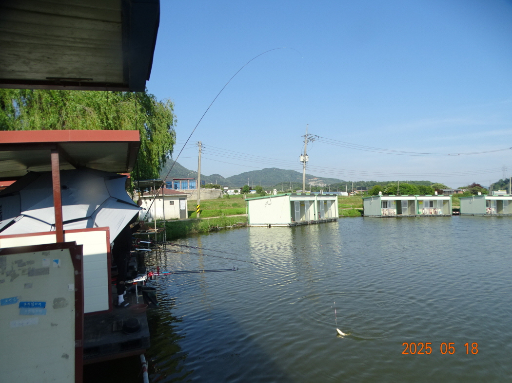 DSC02241.JPG