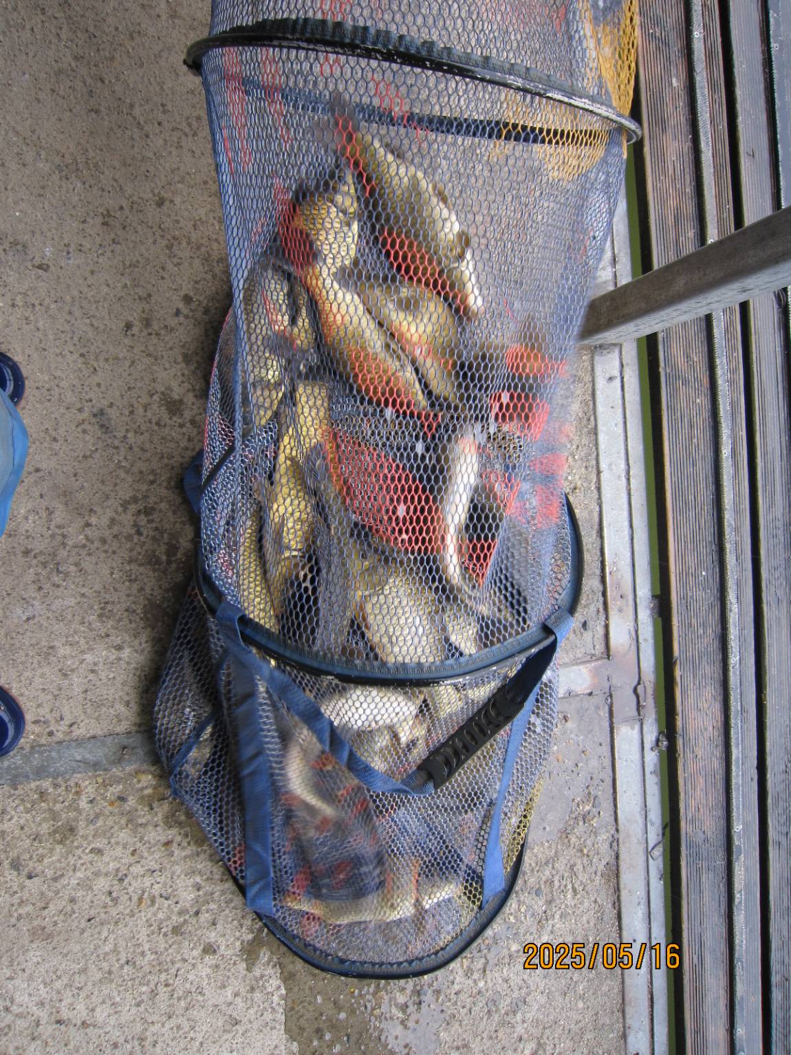 IMG_4506.JPG