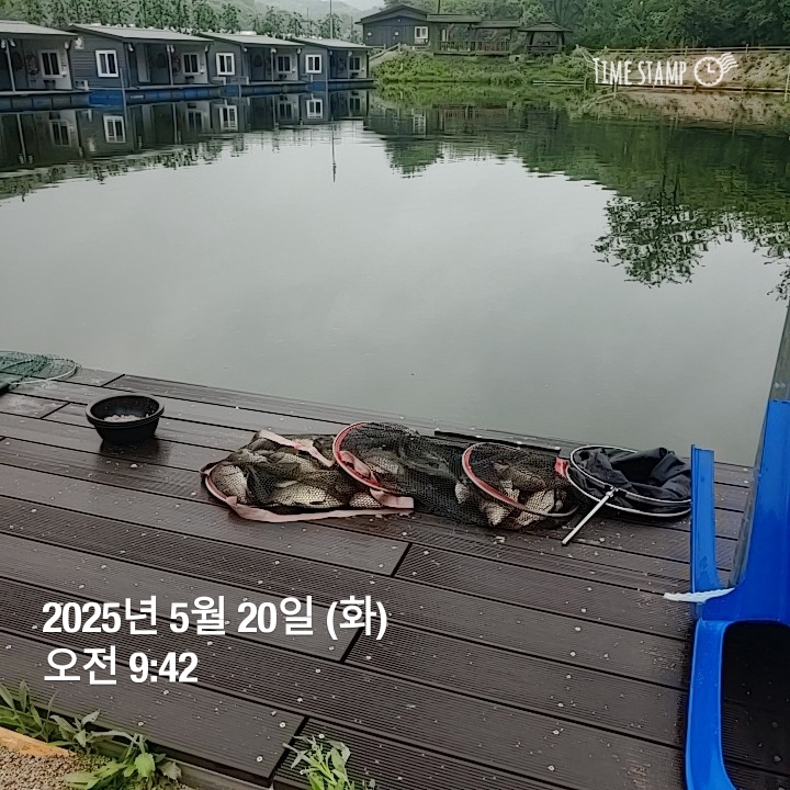 2025-05-20T09_42_38.351.jpg