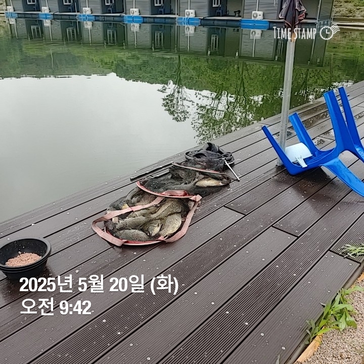 2025-05-20T09_42_30.813.jpg