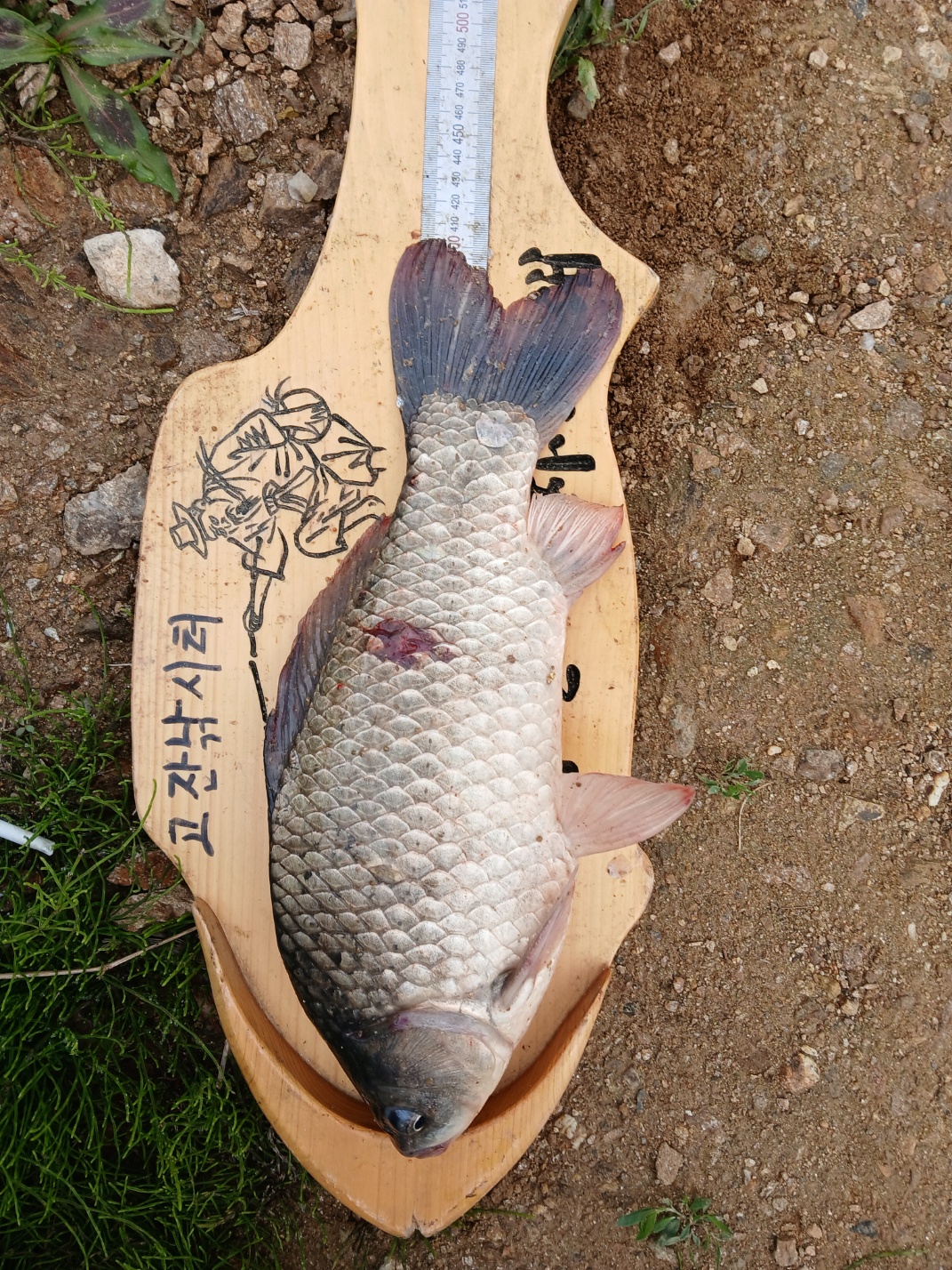 KakaoTalk_20250520_085041919_09.jpg