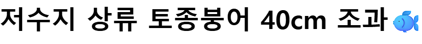 40cm.png