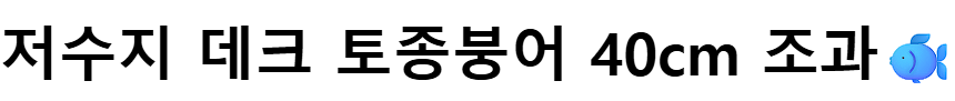 ũ 40.png