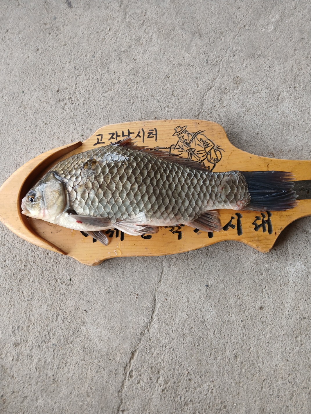 KakaoTalk_20250521_090945799_01.jpg