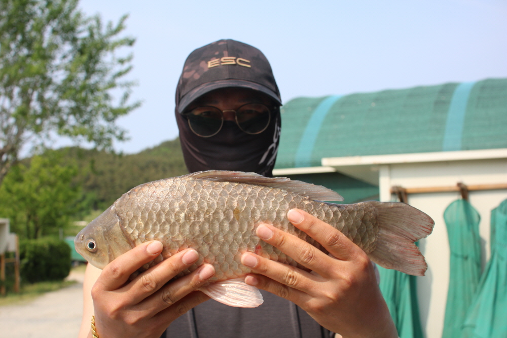 [크기변환]IMG_4019.JPG