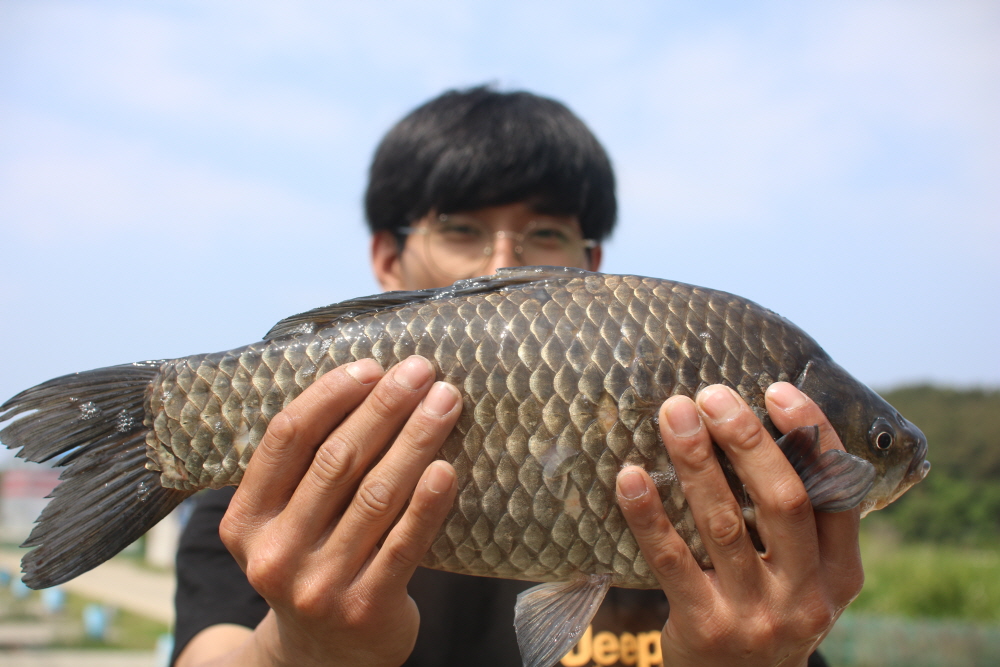 [크기변환]IMG_4095.JPG