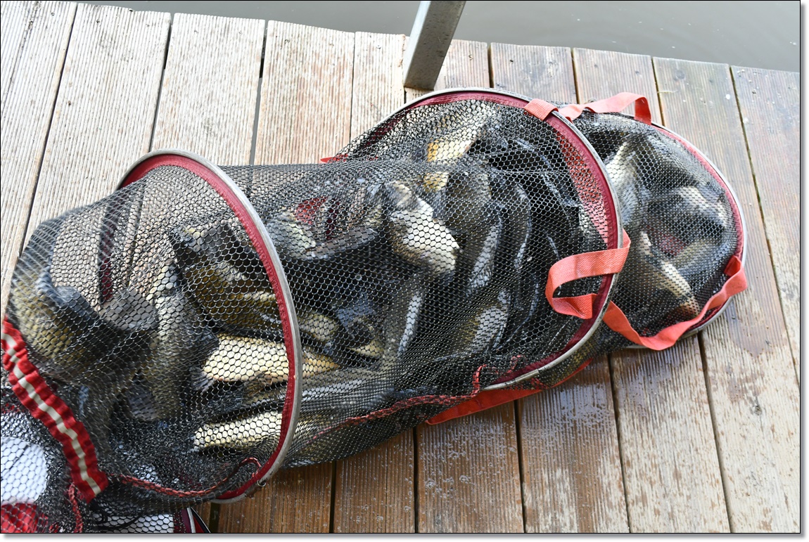 DSC_2483.JPG