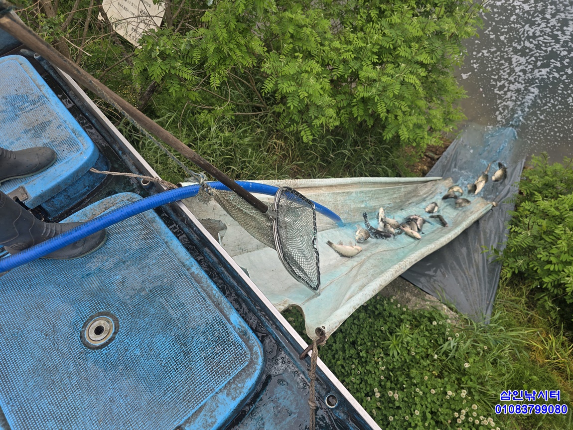 1748220224811.jpg