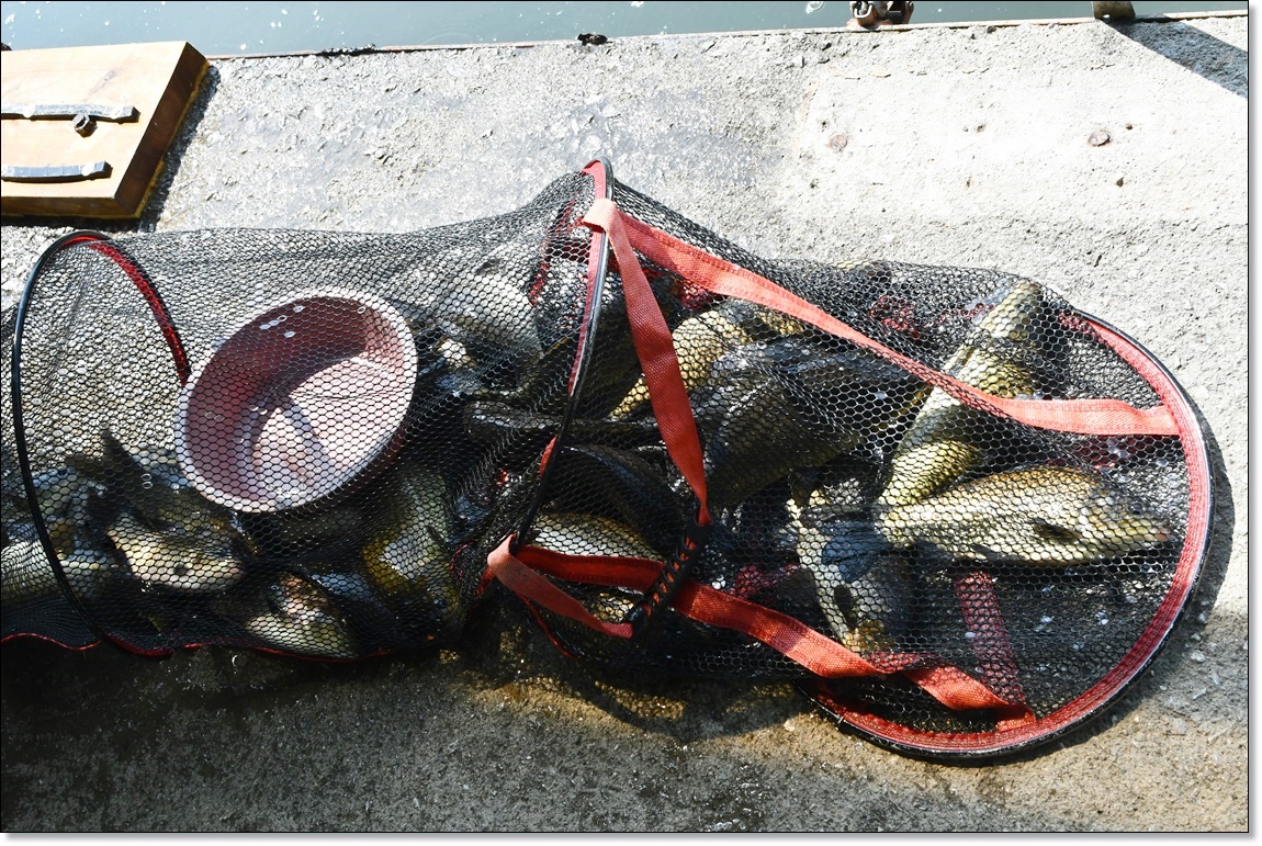 DSC_2557.JPG