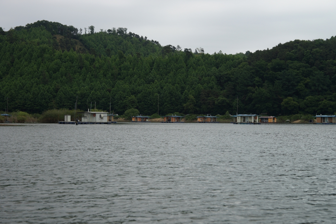 DSC01529.jpg